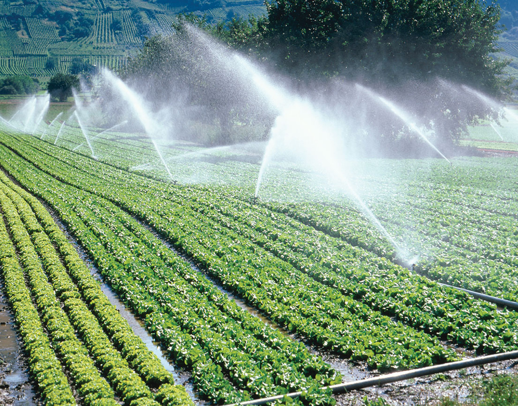 Analisis de Agua